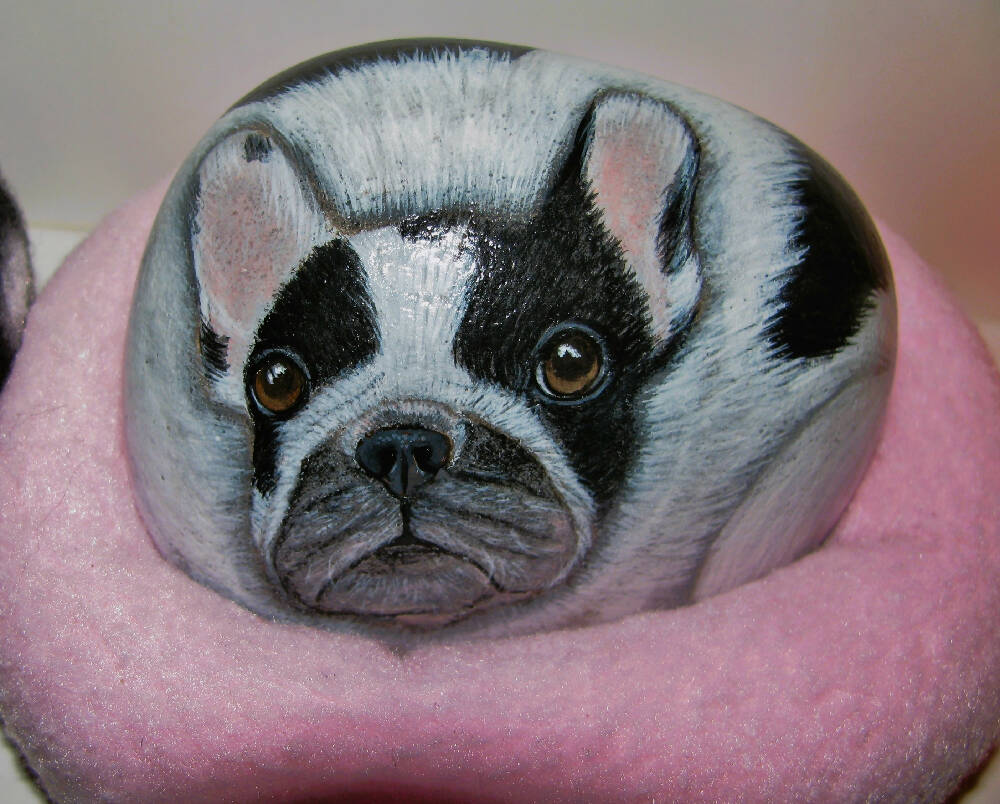 Boston Terrier hand painted on stone