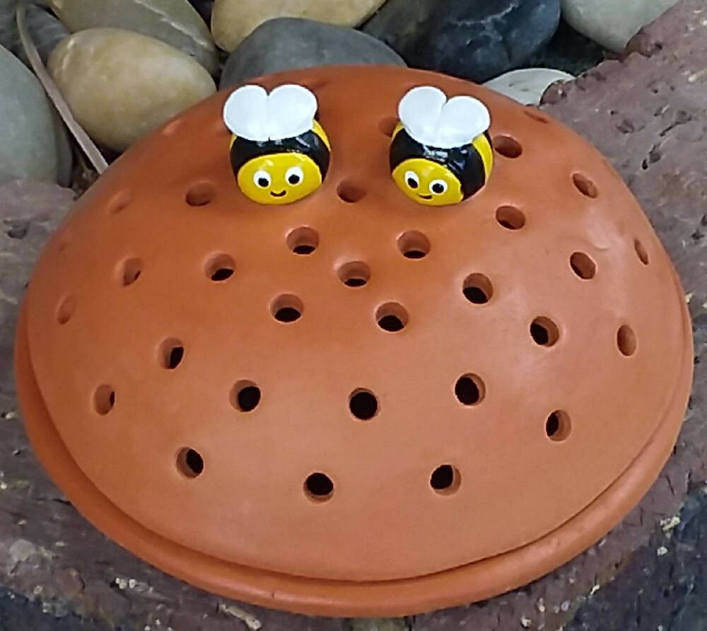 20230912_142751bee