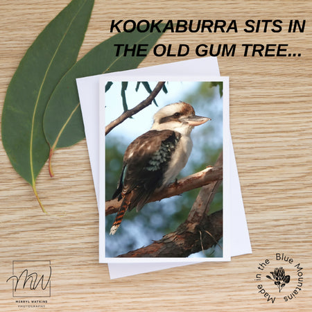 Blank Greeting Card - Kookaburra Sits in the Old Gum Tree - Photo